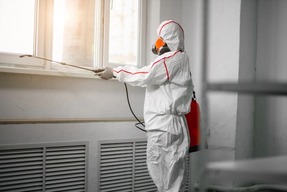 Professional mold remediation services in Flagler Beach, FL